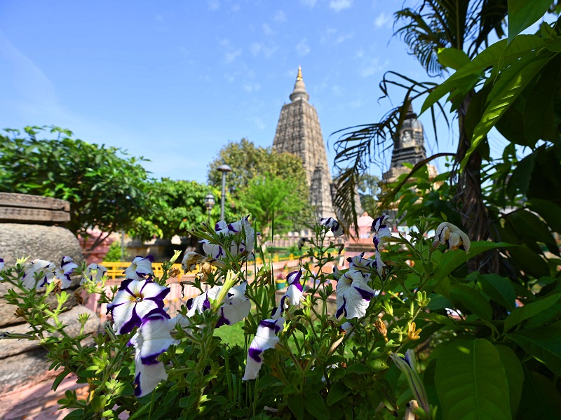 Mahabodhi Temple